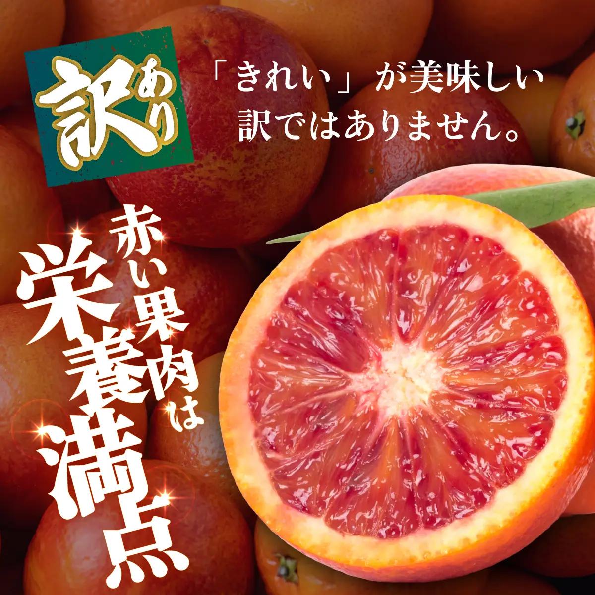 ＜【訳あり】愛媛県産 ブラッドオレンジ 約1.5kg＞『2027年2月下旬～3月下旬迄順次発送予定』わけあり 訳アリ 果汁 ジューシー みかん 蜜柑 果物 くだもの フルーツ ミカン 果汁 国産 特産
