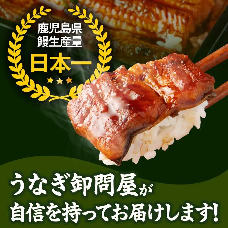 2483 【 定期 6回 】大隅特産 うなぎ蒲焼 3尾（510g）【 国産 】 KN060-T07 魚 冷凍 鰻 定期便