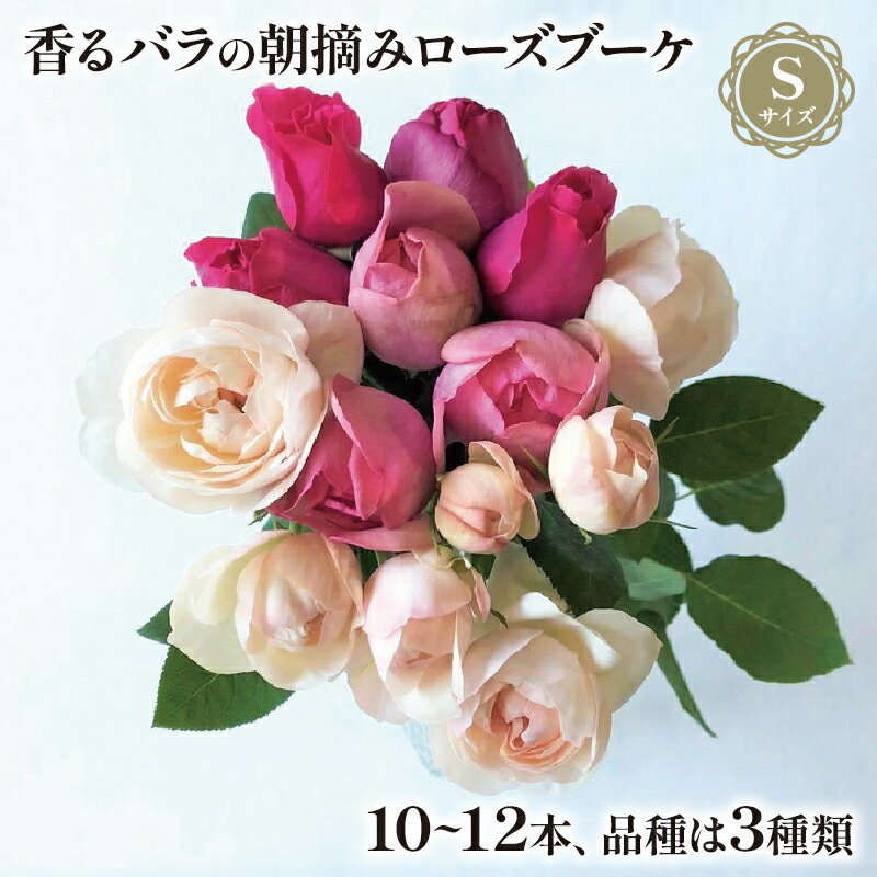 【ふるさと納税】 バラ 花束 ブーケ 朝摘み Sサイズ 薔薇 ばら 花 パフューム ローズ 香るバラ 生花 ギフト プレゼント 祝い 卒業式 贈り物 贈答 記念日 プロポーズ バラの花束 誕生日 母の日 父の日 結婚祝い 開店祝い 還暦祝い フラワーアレンジメント 花屋 藤枝市 静岡県