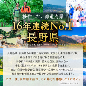 ≪神戸発≫松本空港利用松本市内泊フリープランWEB旅行券（10000円分）