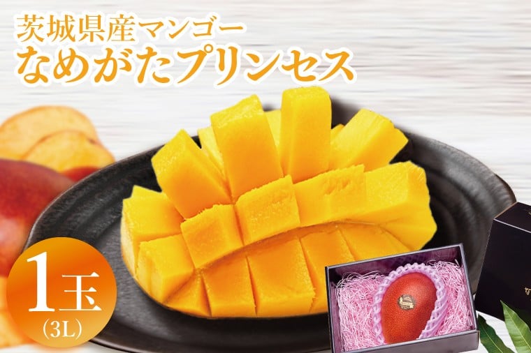 
            【2026年6月下旬より順次発送】★数量限定★マンゴー なめがたプリンセス 1玉(3L)｜マンゴー フルーツ 果物 くだもの 数量限定 先行予約 茨城県 行方市(EJ-9)
          