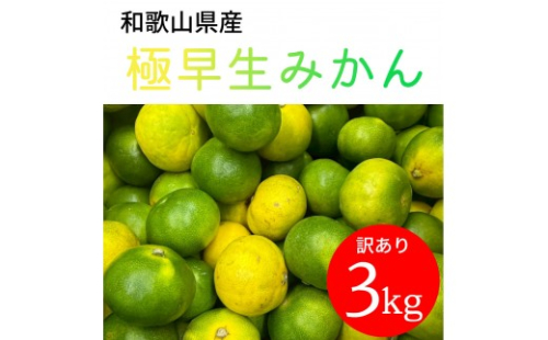 家庭用 和歌山県産 極早生みかん 3kg
