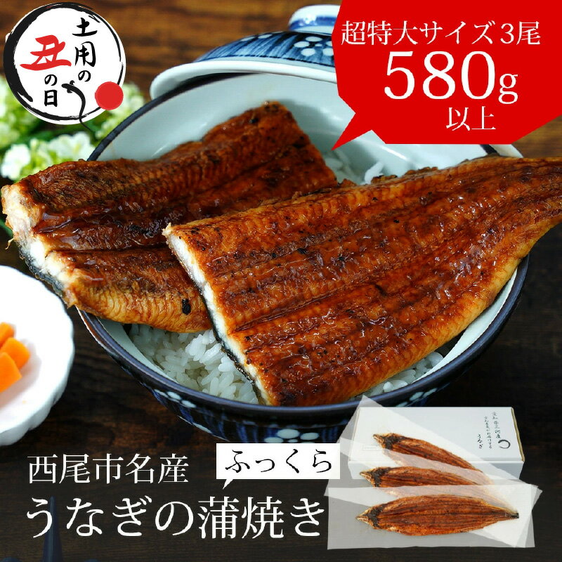 【増量】「生産者愛知養魚」がお届けする三河産うなぎ「蒲焼冷凍＜超特大＞×3尾（580g～600g）」2週間前後でお届け！【冷凍便】国産 愛知県産 鰻 ウナギ タレ付き たれセット MB
