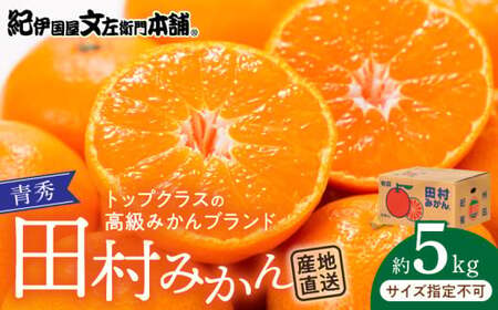 V7450_【2026年先行予約】田村みかん／5kg青秀／サイズ指定なし