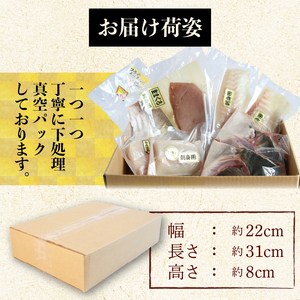 毎月定期便 訳あり 海鮮 ボックス 1.2kg セット 毎月 全2回 冷凍 真空パック おまかせ マグロ まぐろ 鮪 生まぐろ 鯛 たい かんぱち 勘八 シマアジ ヒラマサ 平昌 新鮮 魚 魚介 海鮮
