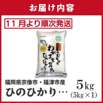ふるさと納税 宗像市 新米先行受付!「ひのひかり」5kg【ほたるの里】_HA1786 |  | 01