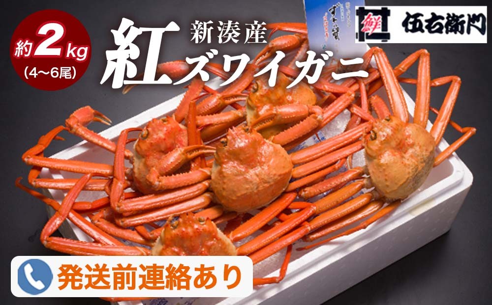 
                  【伍右衛門】新湊産紅ズワイガニ約2kg（4～6尾）｜ずわい蟹 ずわいガニ ズワイガニ 紅ズワイガニ 紅ずわいがに カニ 蟹 かに かにしゃぶ カニしゃぶ 蟹しゃぶ かに鍋 カニ鍋 蟹鍋 かに味噌 カニ味噌 かにみそ 魚貝類 魚介類 ボイル 国産 富山 富山湾 北陸 富山カニ 北陸カニ ※2026年9月～発送 ※発送まで1か月以上かかる場合があります。
                