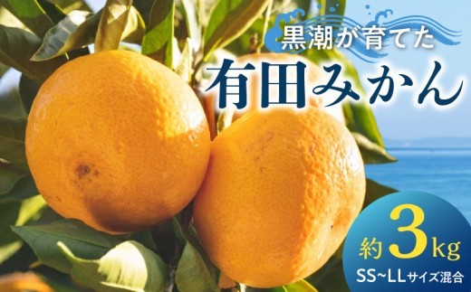 
                  【2026年先行予約】黒潮が育てた 有田みかん 約3kg (SS～LLサイズ混合)_AE6104n
                