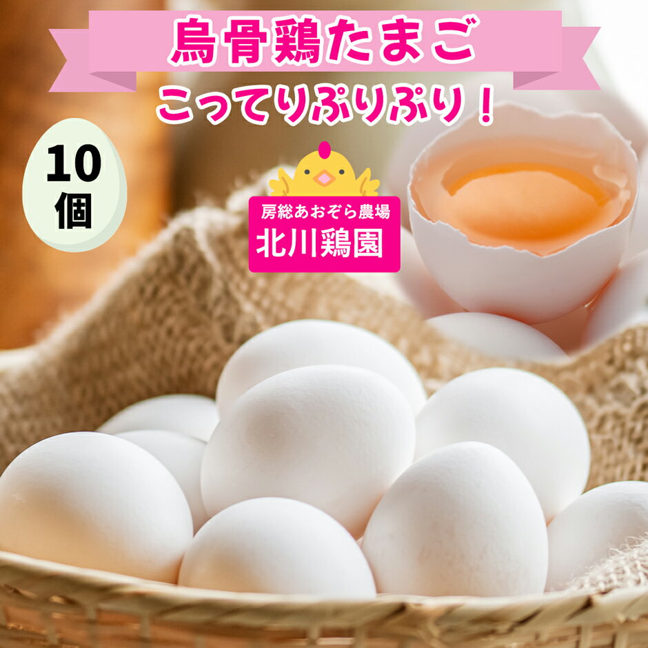 【ふるさと納税】烏骨鶏 たまご 10個『北川鶏園 房総のあおぞら農場』｜卵 玉子 タマゴ ブランドたまご 産みたて 新鮮 プレミアム うこっけい [0249]