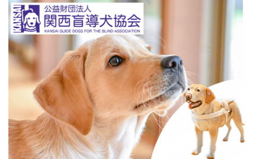 
盲導犬 訓練 支援寄附 記念品［クイールの陶器（成犬）・タオル2枚セット・エコバッグ など盲導犬協会オリジナルグッズ］「行きたい場所に安心していける社会に…」補助犬（100,000円）
