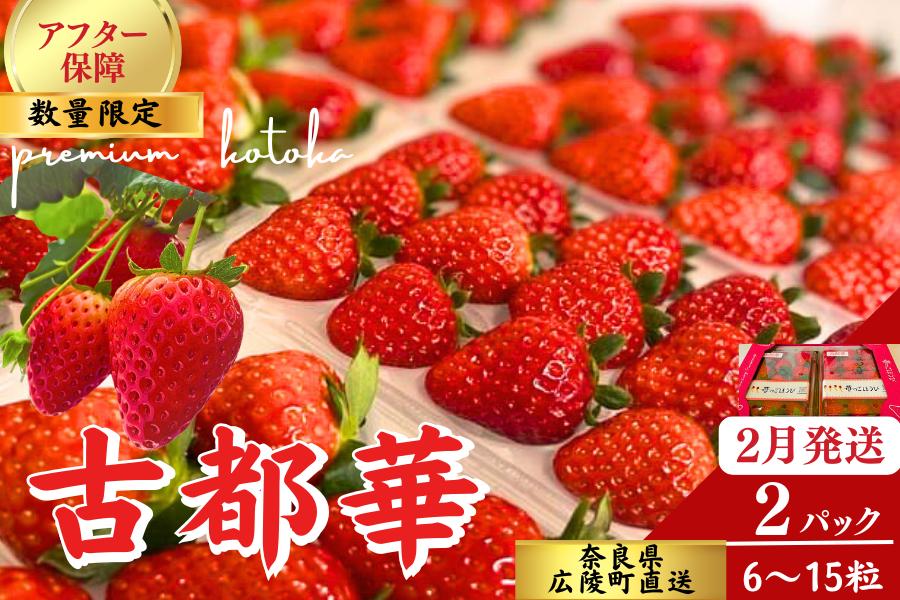 
            【数量限定】【先行予約】苺のごほうび【古都華】270g×2パック 　2026年2月発送 ///いちご イチゴ 古都華  旬 果物 フルーツ 農家 直送 甘い 完熟 季節 冬 奈良 奈良県
          