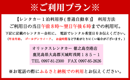鹿児島県 徳之島 天城町 レンタカー 1泊2日利用券 普通自動車 8人乗り ビジネス 旅行 チケット