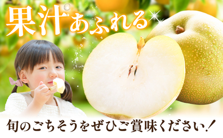 梨 豊水秀品 5kg 井岡農園 豊水梨 なし