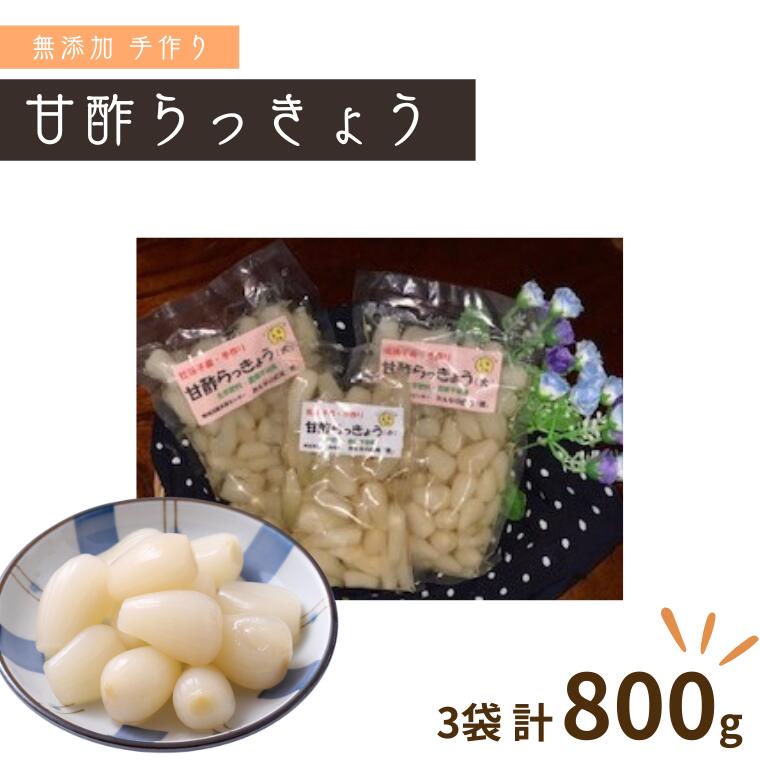 【ふるさと納税】【みんなの広場・風】手作り甘酢らっきょう320g×2袋・160g×1袋セット【福祉施設提供】《30日以内に出荷予定(土日祝除く)》【配送不可地域あり】(離島)