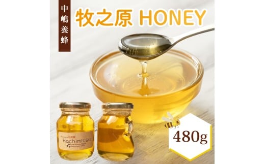 牧之原産はちみつ  はちみつ 蜂蜜 国産 240g × 2瓶 ハチミツ 純粋はちみつ 生はちみつ 百花 はちみつ 天然 ハニー 瓶 美容 健康 パンケーキ 菓子  国産 静岡県 牧之原市 中嶋養蜂