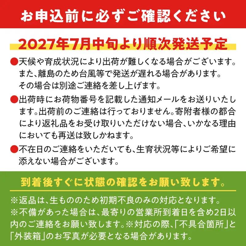 【 2027年先行予約 】えみちゃん農園の完熟マンゴー1キロ（2～3個入り） C008-006 完熟マンゴー 甘い