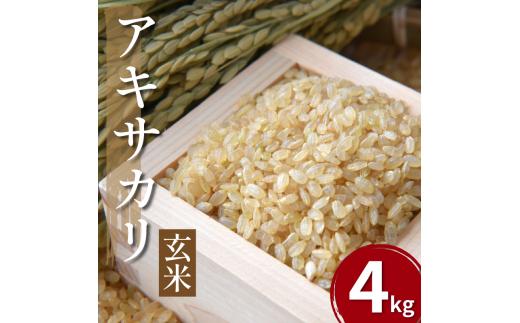 【先行予約】令和7年産 米 玄米 4kg （ 2kg × 2袋 ）アキサカリ 令和7年度産 新米 1袋2kg 小分け お米 こめ 精米 健康 ごはん ご飯 白飯 ゴハン コメ 吉野川 徳島県 吉野川市