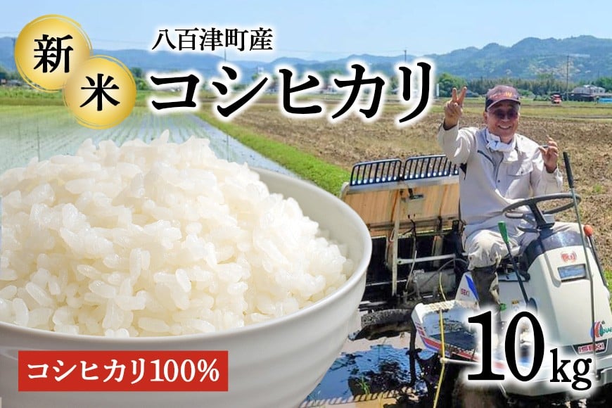 
                  令和7年度米【3営業日以内に発送】地元でも美味しいと評判！八百津町小川さんのコシヒカリ10Kg すぐ 発送 すぐに お届け 農家 さん 直送(476)
                