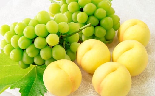 桃 ぶどう 岡山白桃5玉とシャインマスカット2房 詰合せ 合計2.7kg以上 もも モモ 白桃 ブドウ 葡萄 フルーツ 果物 果実 詰め合わせ セット 岡山県 倉敷市【2026年7月上旬～8月上旬まで順次発送予定】