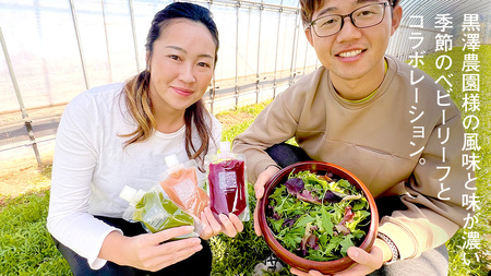 【3か月連続定期便】野菜メインの コールドプレスジュース VITALITY GREEN 200ml × 3本セット