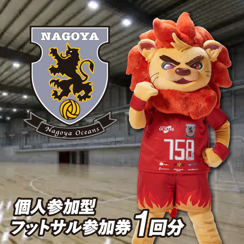 【ふるさと納税】名古屋オーシャンズ 個人参加型フットサル 参加券【1回分】個サル オーシャンズフィールド チケット フットサル スポーツ レジャー 参加チケット 運動系 体験チケット futsal 送料無料