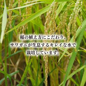 【令和7年産新米】ペットボトル米 1.7kg 【お米 ごはん おいしい 栽培 一人暮らし 健康  茨城県 北茨城市】（BD104）