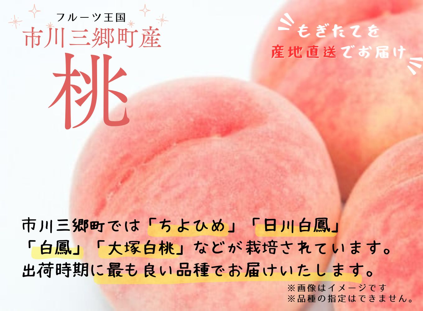 糖度13度以上の甘い桃 2kg箱（6～8玉入）2025年7月上旬から発送　山梨みらい農業協同組合[5839-0004]