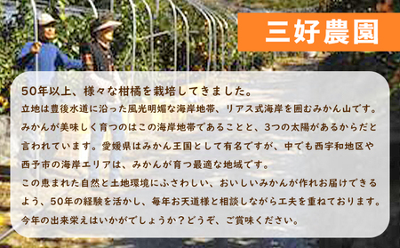 ＜愛媛みかん 家庭用（不揃い）箱込約5kg＞ 果物 フルーツ 温州みかん うんしゅうみかん ウンシュウミカン みかん ミカン 蜜柑 オレンジ 柑橘 自宅用 訳あり 産地直送 三好農園 西宇和 愛媛県 