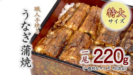 職人手焼きの特大鰻蒲焼220ｇ【1.2-6】