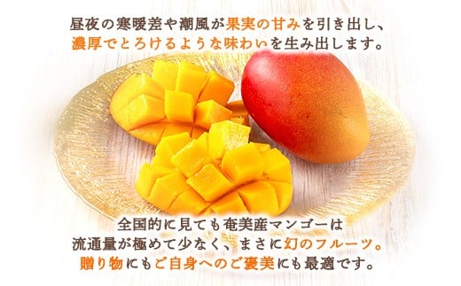 奄美産のマンゴーは贈り物にも自分へのご褒美にもピッタリ。