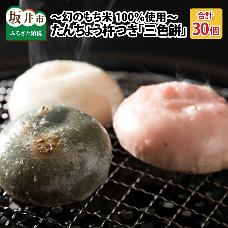 【ふるさと納税】 たんちょう杵つき「三色餅」5個 × 6パック 計30個 特別栽培もち米使用！ 〜幻のもち米100％使用〜 【つきたて モチモチ 添加物・保存料不使用 お雑煮 ぜんざい おやつにも 餅 もち おもち お餅 丸もち】
