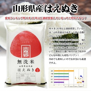 1337R07　無洗米 庄内産はえぬき5kg（令和7年産米）