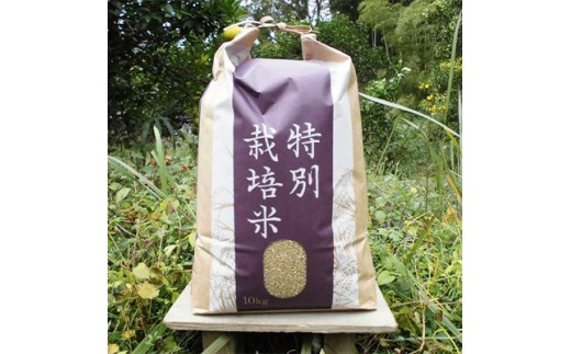 【令和7年産】『タガメの里・自然米』にこまる 玄米10kg  【有機JAS認証米】 | お米 おこめ 米 コメ こめ にこまる 玄米 有機JAS認証米 兵庫県 上郡町											