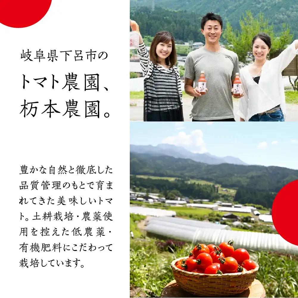 産地直送！杤本農園　フルーツトマトジュース（720ml×6本入り）華小町 トマトジュース【45-2】