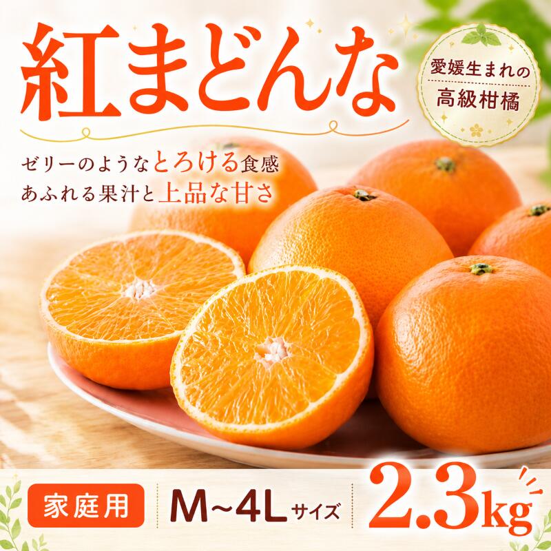 【ふるさと納税】 紅まどんな ご家庭用 2.3kg M~4Lサイズ 【2026年11月中旬頃から順次発送】 | 紅まどんな 柑橘 マドンナ フルーツ まどんな みかん 愛媛 みかん かんきつ 紅マドンナ 蜜柑 紅まどんな 愛果 mikan ふるーつ 果物 愛媛県 松山市