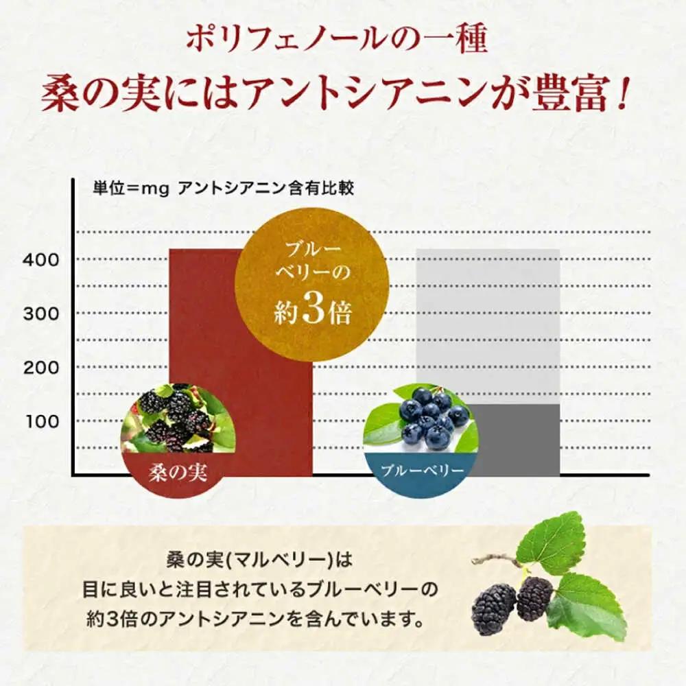 桑の実 ワイン （甘口・辛口） 500ml×2本  ワイン[AYBM006]