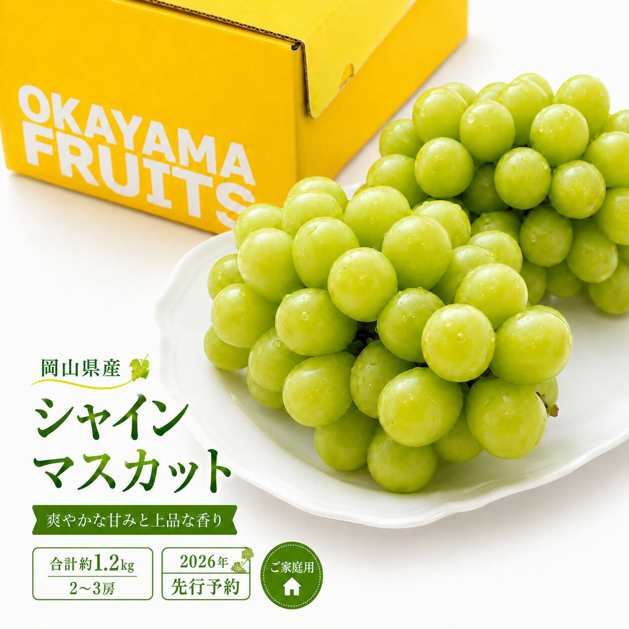 【ふるさと納税】ぶどう 2026年 先行予約 ご家庭用 シャイン マスカット 2～3房 合計約1.2kg ブドウ 葡萄 岡山県産 国産 フルーツ 果物 ギフト　お届け：2026年9月上旬～2026年10月下旬