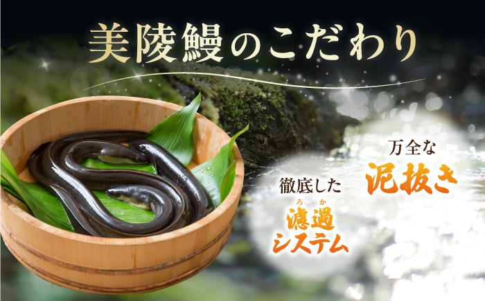 鰻 うなぎ ウナギ 蒲焼 蒲焼き 白焼き 国産 ギフト 冷凍 土用の丑の日