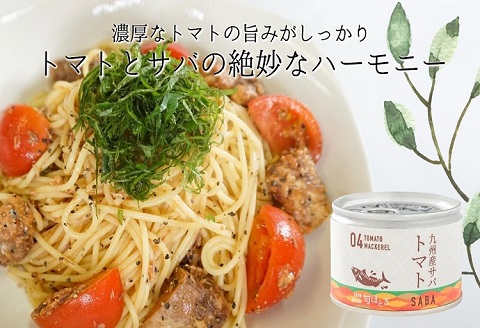 缶詰工場直送　伝統のさば缶「旬ほとぎ」トマト煮12缶【B2-115】