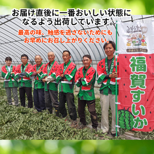 1株1玉獲りの自信作「福賀 すいか」特天 約11kg～13kg 1個