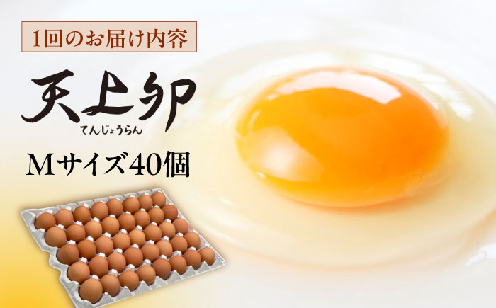 ★3回定期便★こだわりの卵「天上卵」40個セット★3回定期便★ 糸島ファームハウスUOVO/鶏卵/平飼い/たまご/玉子 [AKH006]