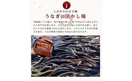 うなぎ 国産 蒲焼3種セット（長焼き160g×1尾 ・カット80g×1・きざみ90g×1 タレ75ml×1・山椒付）勝美 ギフト プレゼント お歳暮 誕生日 内祝
