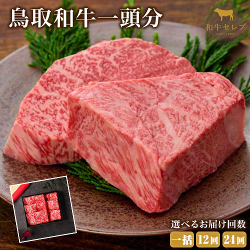 【和牛セレブ】鳥取和牛一頭分 約193.1～200kg 選べる配送回数 一括 12分括 24分括『和牛セレブ｜お肉ギフト専門店』《ご入金を確認してから約1ヶ月後に配送開始》鳥取県 八頭町 和牛 牛 牛肉 国産 黒毛和牛 一頭分 ギフト 和牛セレブ