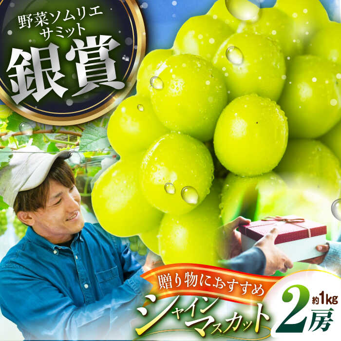 【ふるさと納税】【2025年先行予約】【50個限定】【贈答用】旬の味わいを産地直送で！シャインマスカット 2房（約1kg）秀品・化粧箱入り 島根県雲南市/ギアファーム[AIAB001]