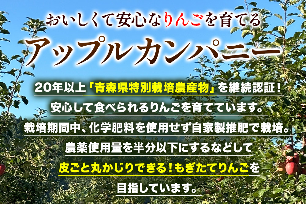 《定期便6ヶ月》りんごジュース ふじ 1L×6本 計6L 無添加 ストレート果汁100％！ 青森県特別栽培農産物認証農園