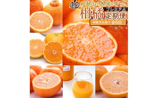 厳選 柑橘定期便S（奇数月）全6回［IKE287］