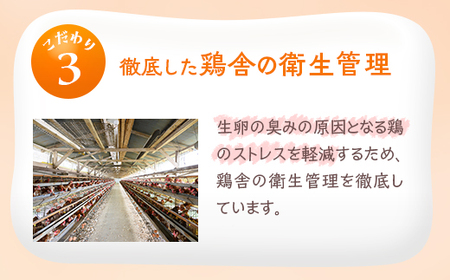 小久保ファーム　濃厚卵黄　産みたてたまご　赤玉30個入り（M玉） _EI01
