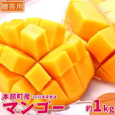 マンゴー【2026年夏発送】もとぶ町産マンゴー（贈答用）約1kg詰め
