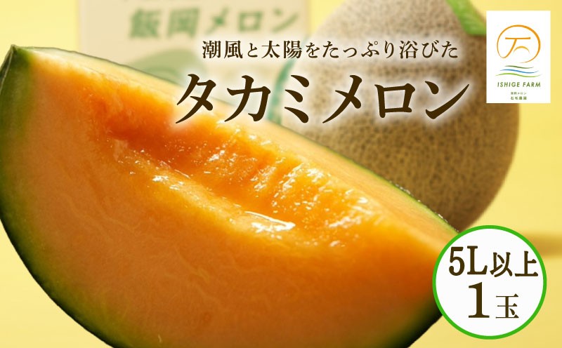 
                  ＜ 2026年 先行受付 ＞ タカミメロン 赤肉 1玉 5Lサイズ 以上 （ 約1.7kg以上 ） 6月 7月 発送 産地直送 メロン 高級 ブランド 糖度 貴味 貴味メロン タカミ ブランドメロン 贈り物 贈答 ギフト プレゼント 果物 フルーツ おすすめ 人気 デザート 千葉県 旭市 飯岡 石毛農園 igf011
                