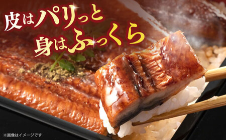 鰻のかば焼き1尾 / 大村市 / お料理やまうえ[ACZL002]